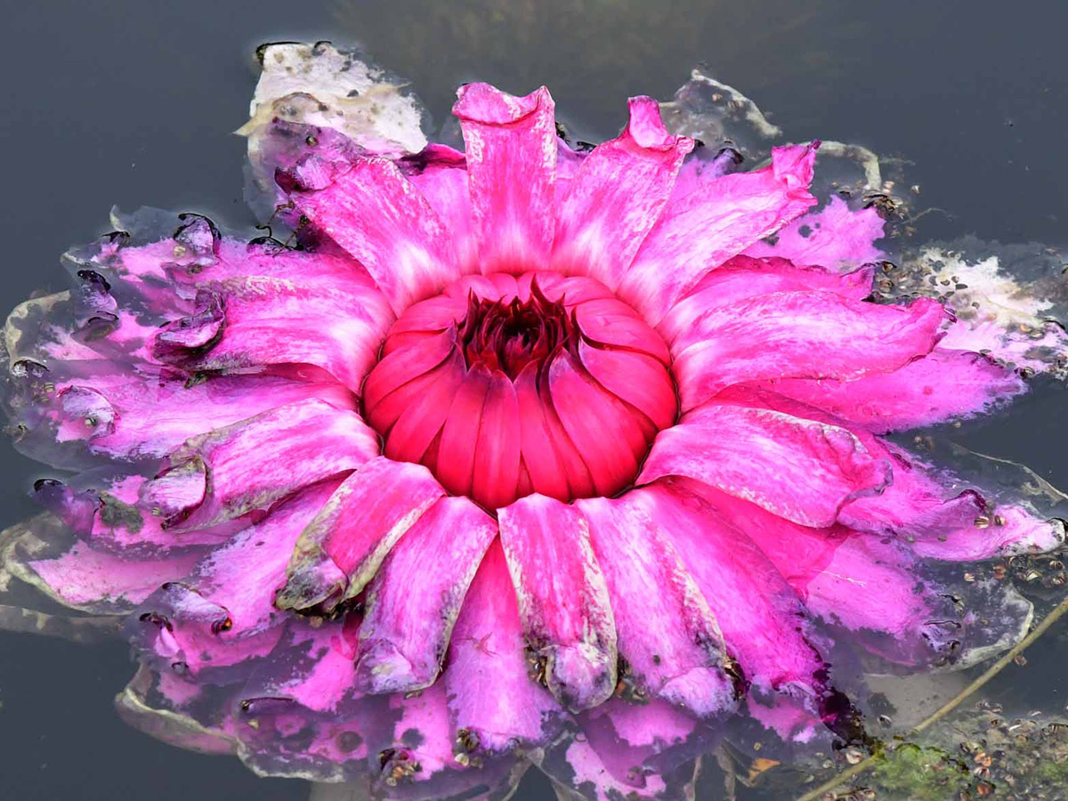 Best Photos of The Week October 18 to 24 20265
