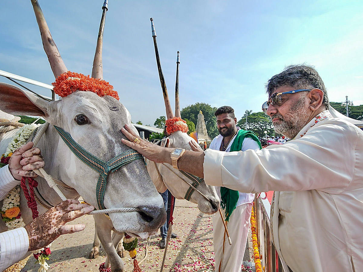 Dussehra Festival Celebrations At Balrama Gate of Mysore Palace28