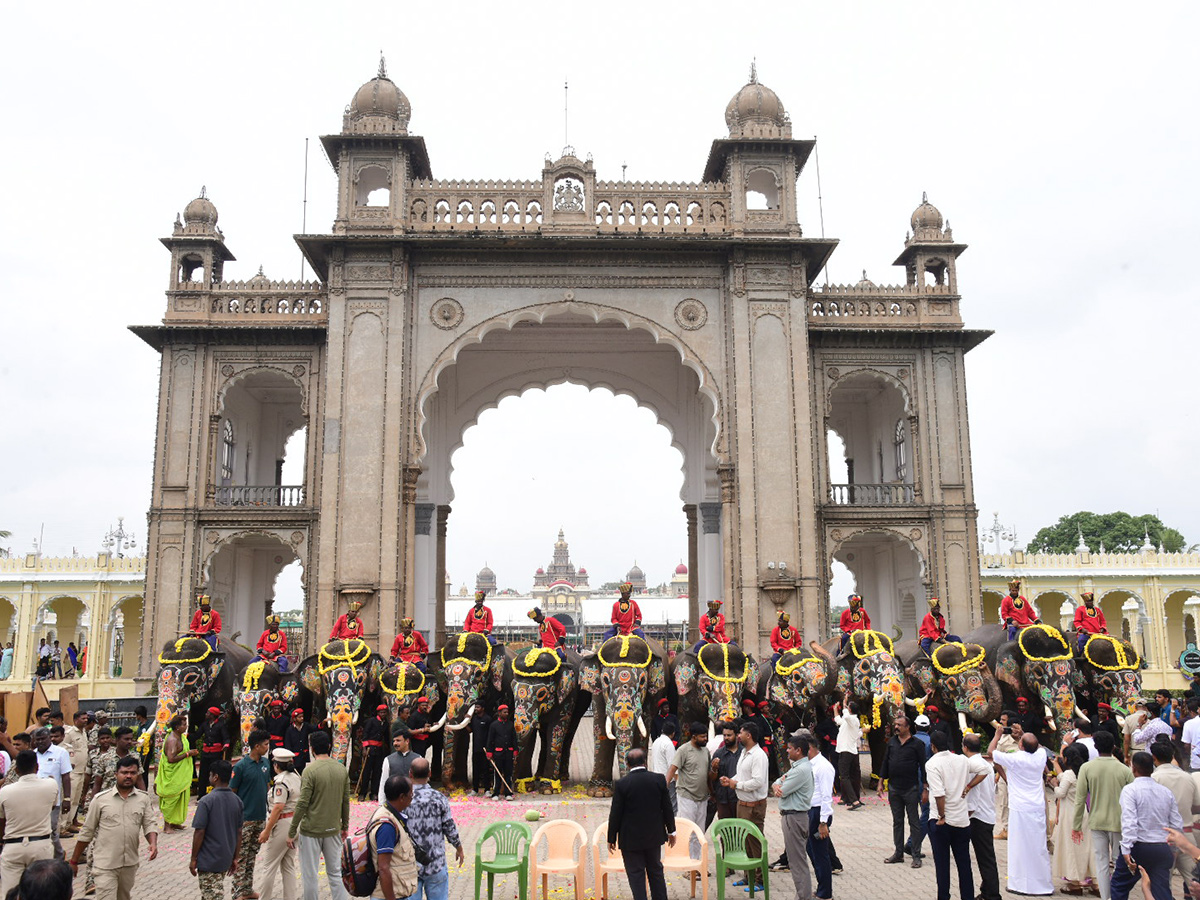 Elephant in Mysore Dasara Festival Viral Photos12