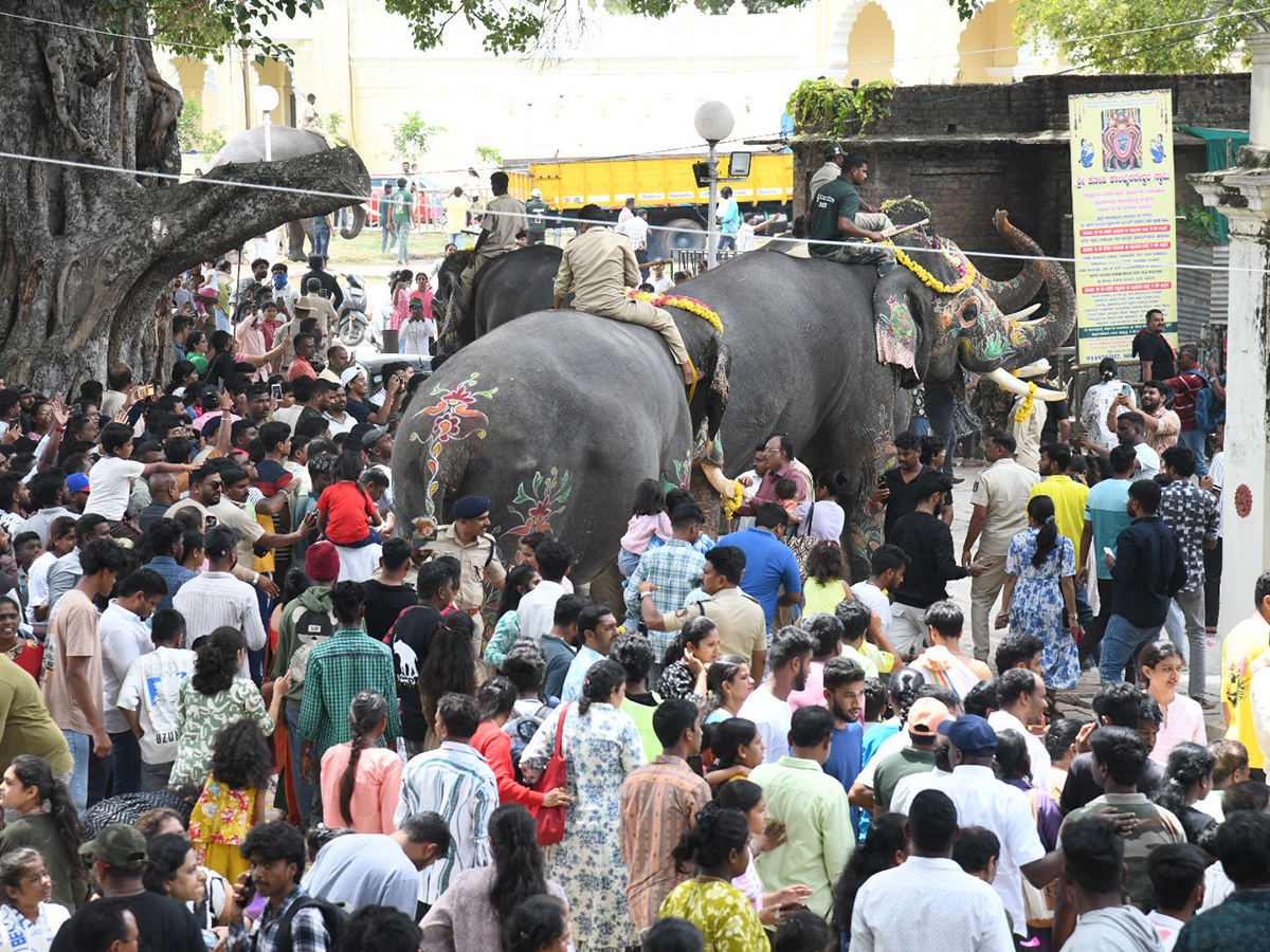 Elephant in Mysore Dasara Festival Viral Photos16