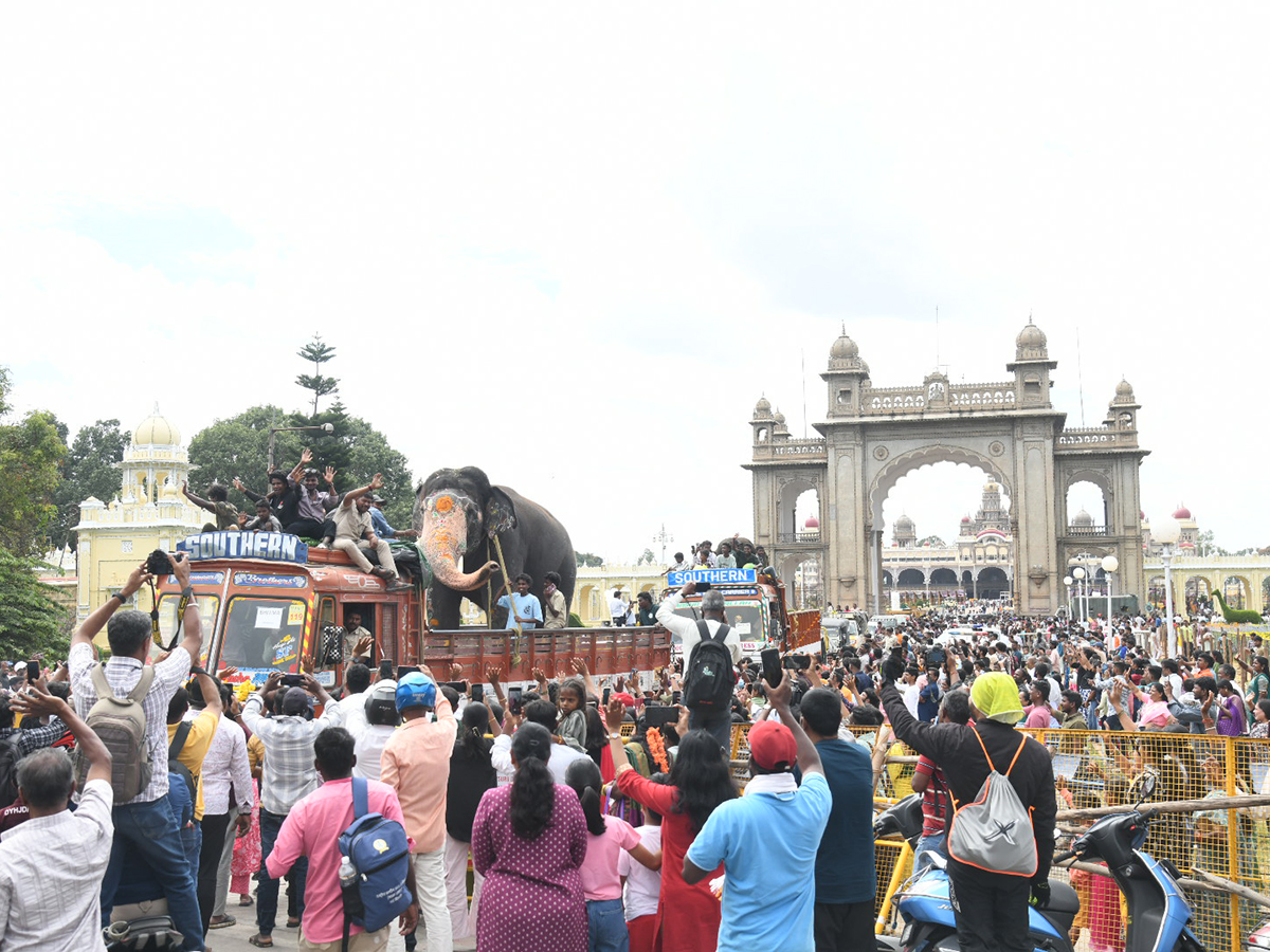 Elephant in Mysore Dasara Festival Viral Photos17