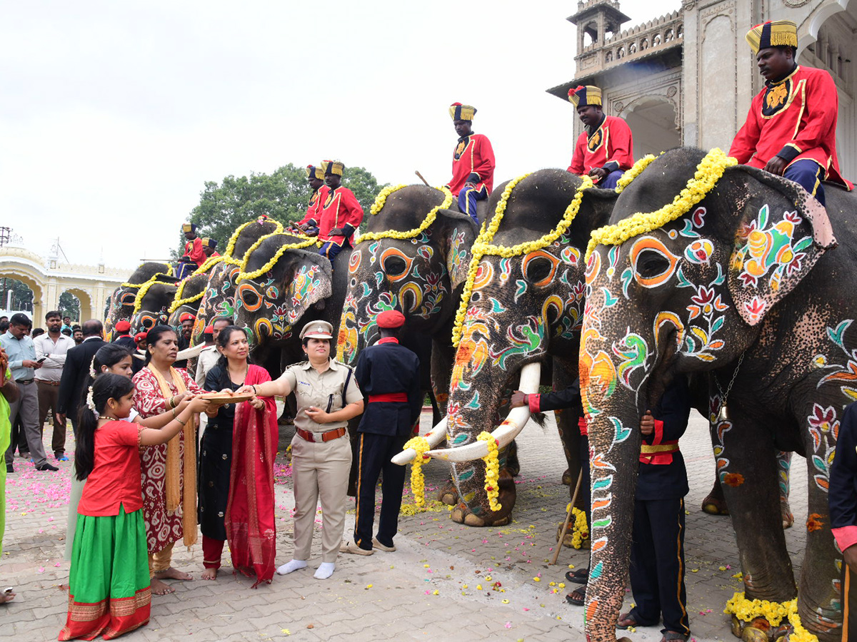 Elephant in Mysore Dasara Festival Viral Photos6