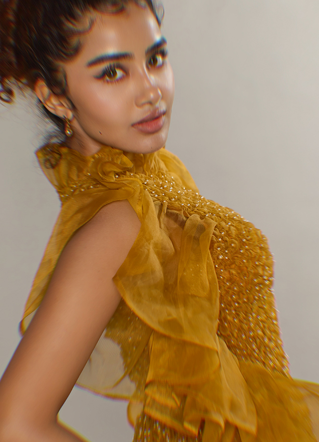 Anupama Parameswaran Beautiful Photos12