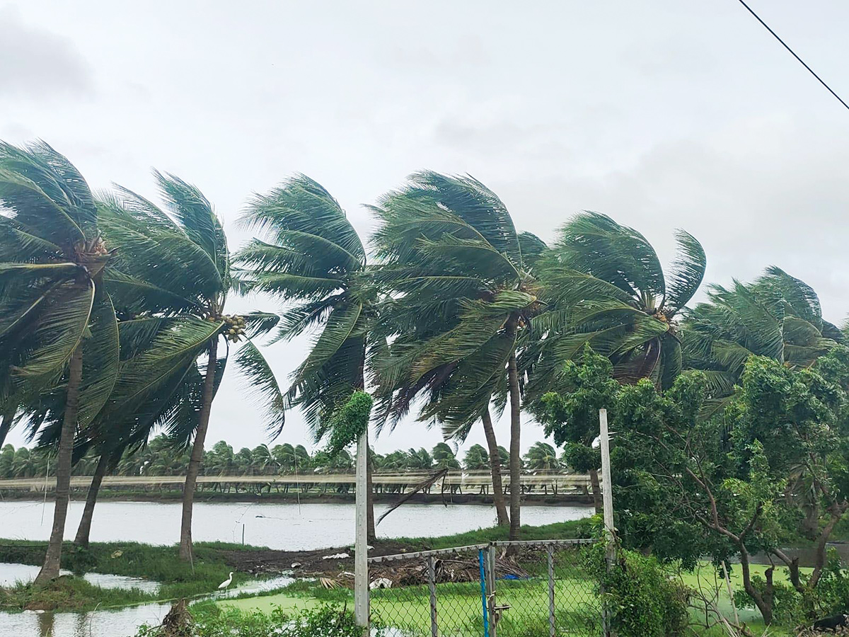 arnab cyclone update Photos 16