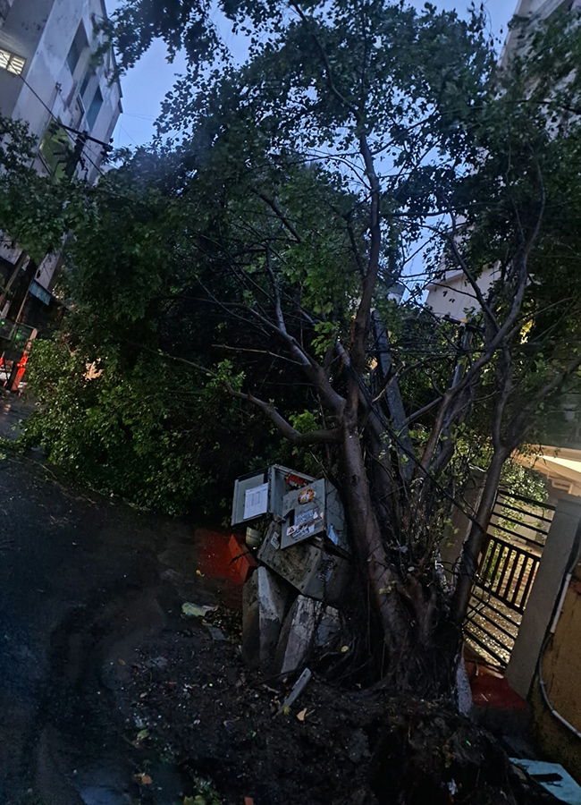 Arnab Cyclone Wreaks Havoc in Visakhapatnam Today Photos28
