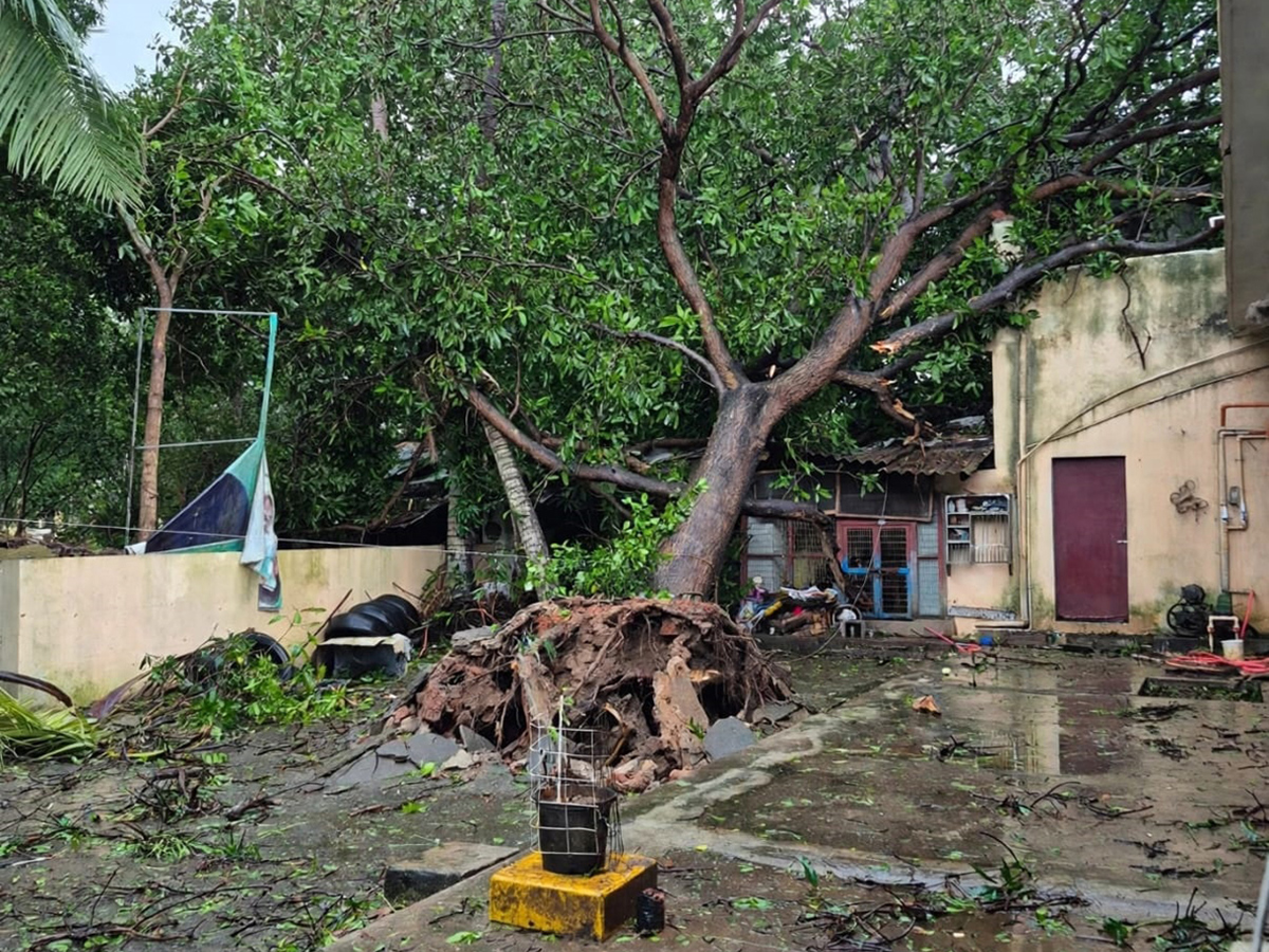 Cyclone Arnab Devastation Konaseema District Today Photos11