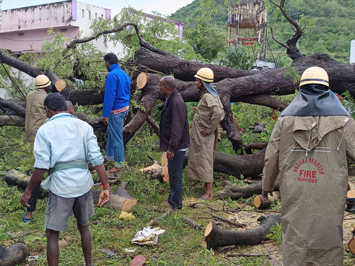 Cyclone Arnab Devastation Konaseema District Today Photos13