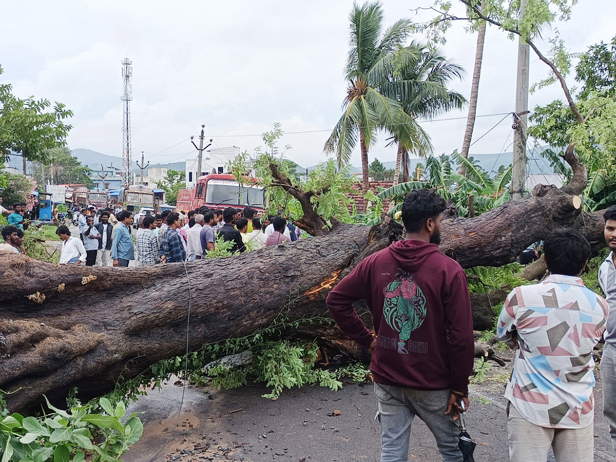 Cyclone Arnab Devastation Konaseema District Today Photos15