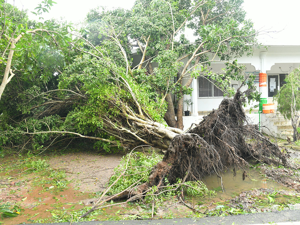 Cyclone Arnab Devastation Konaseema District Today Photos17