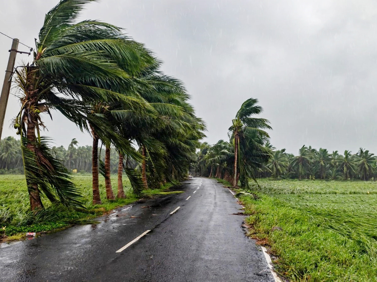 Cyclone Arnab Devastation Konaseema District Today Photos2