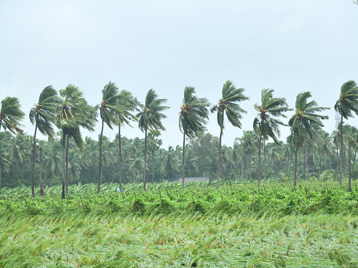 Cyclone Arnab Devastation Konaseema District Today Photos24