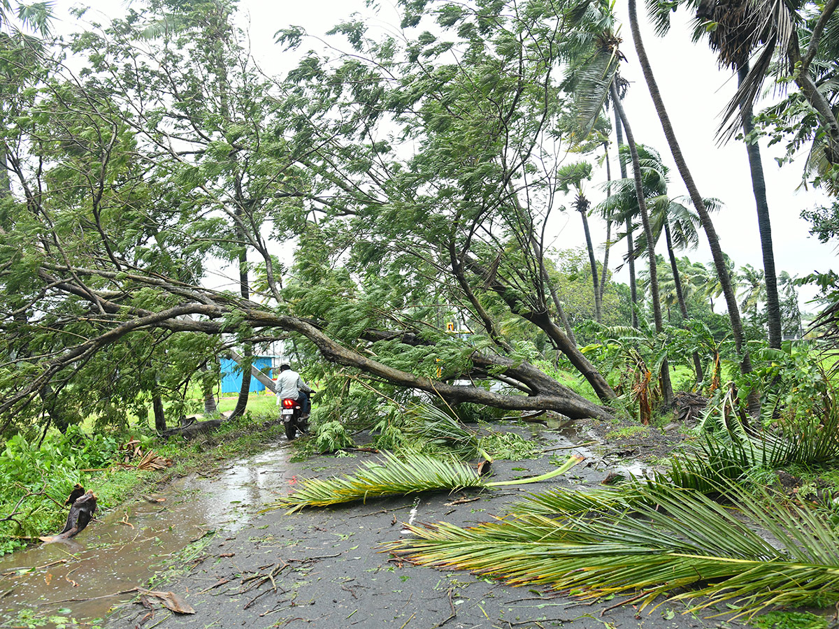 Cyclone Arnab Devastation Konaseema District Today Photos28