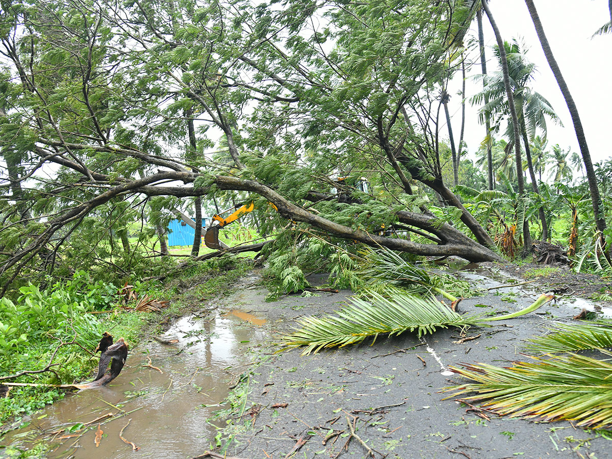 Cyclone Arnab Devastation Konaseema District Today Photos29
