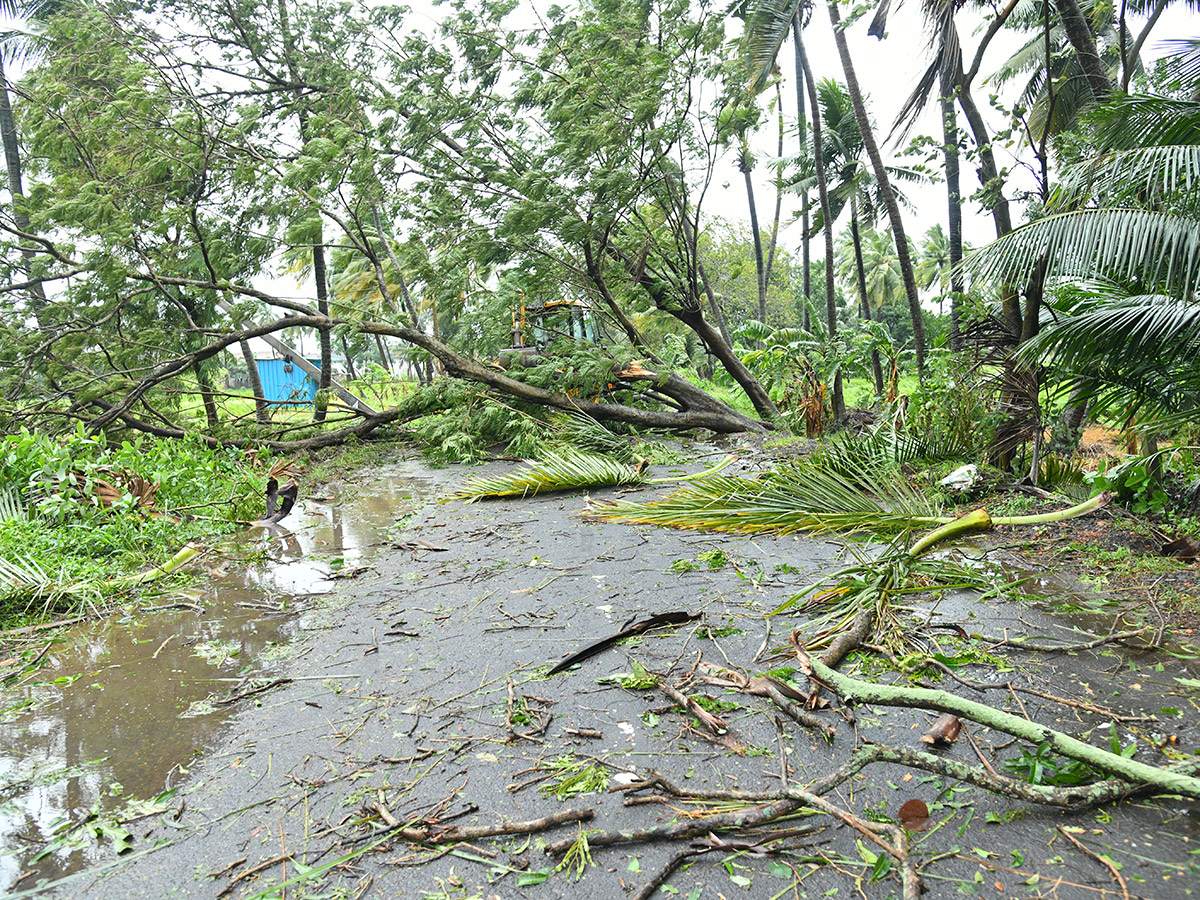 Cyclone Arnab Devastation Konaseema District Today Photos30