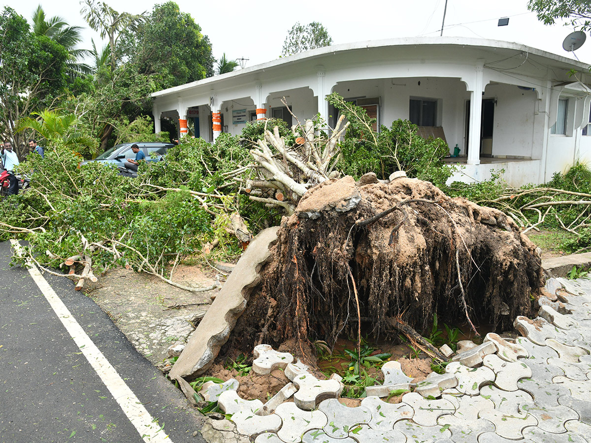 Cyclone Arnab Devastation Konaseema District Today Photos32