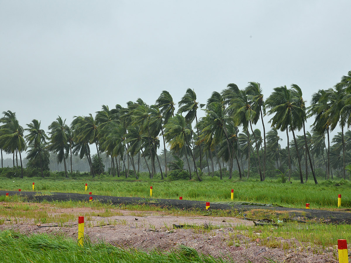 Cyclone Arnab Devastation Konaseema District Today Photos37