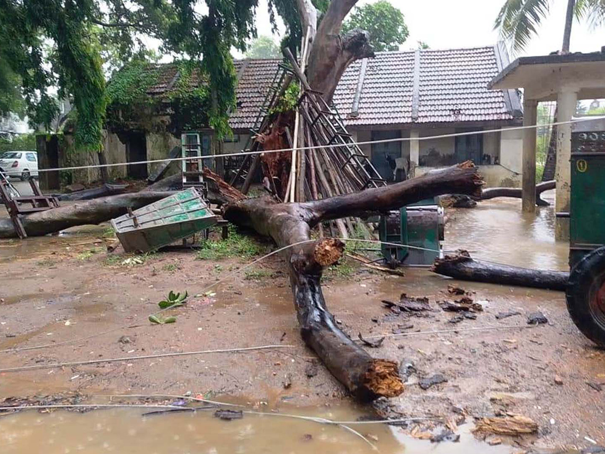 Devastation caused by Cyclone Arnab in AP Today11