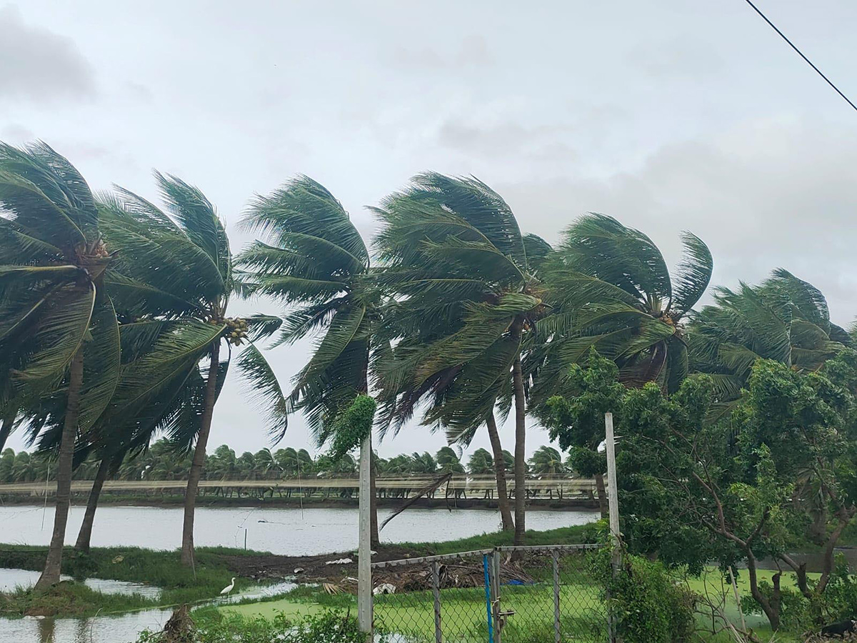 Devastation caused by Cyclone Arnab in AP Today16