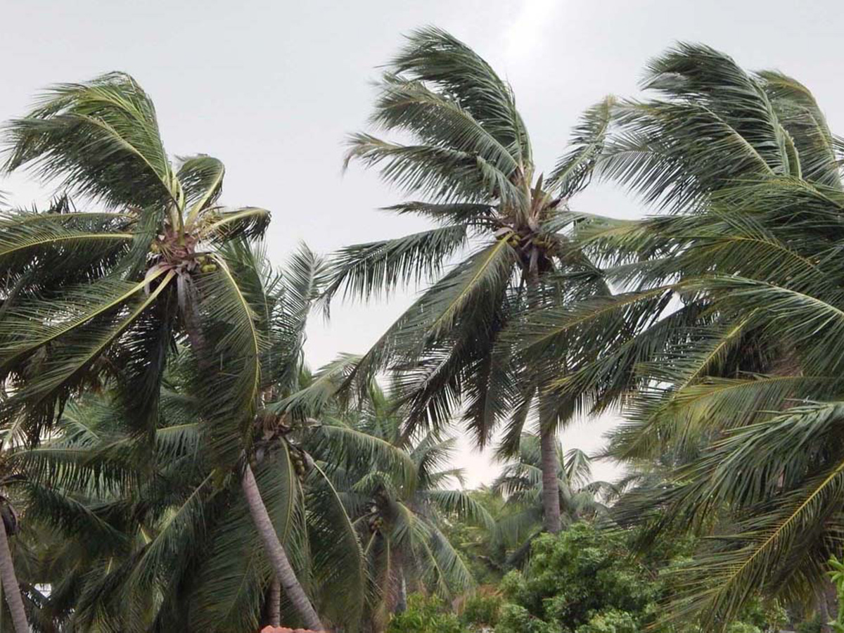 Devastation caused by Cyclone Arnab in AP Today18