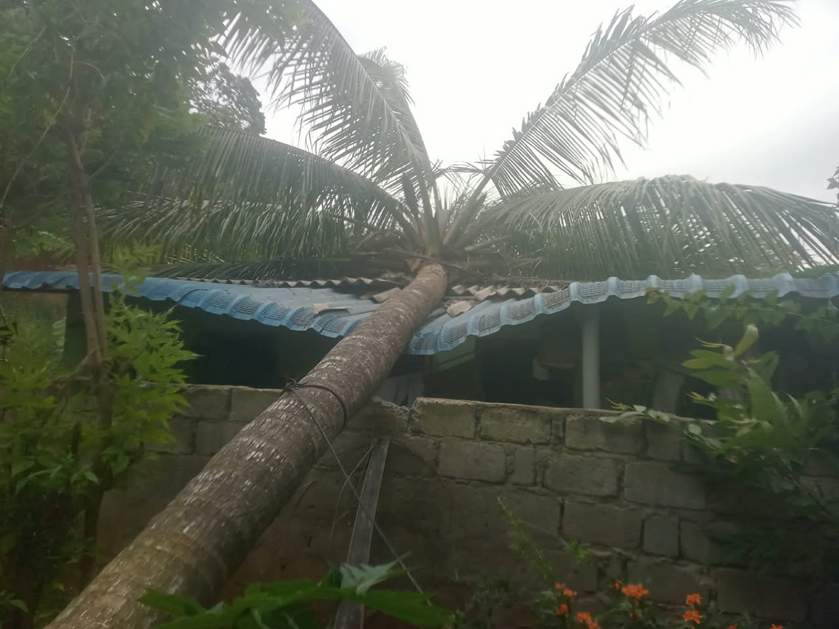 Devastation caused by Cyclone Arnab in AP Today20