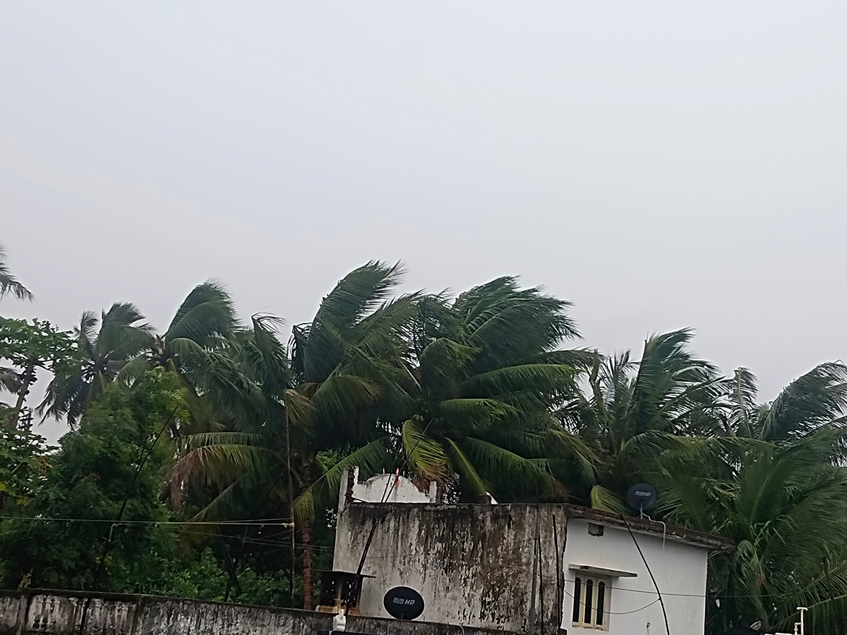 Devastation caused by Cyclone Arnab in AP Today21