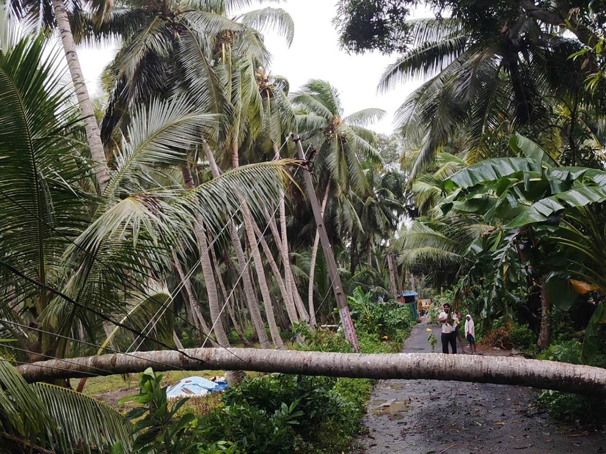 Devastation caused by Cyclone Arnab in AP Today3