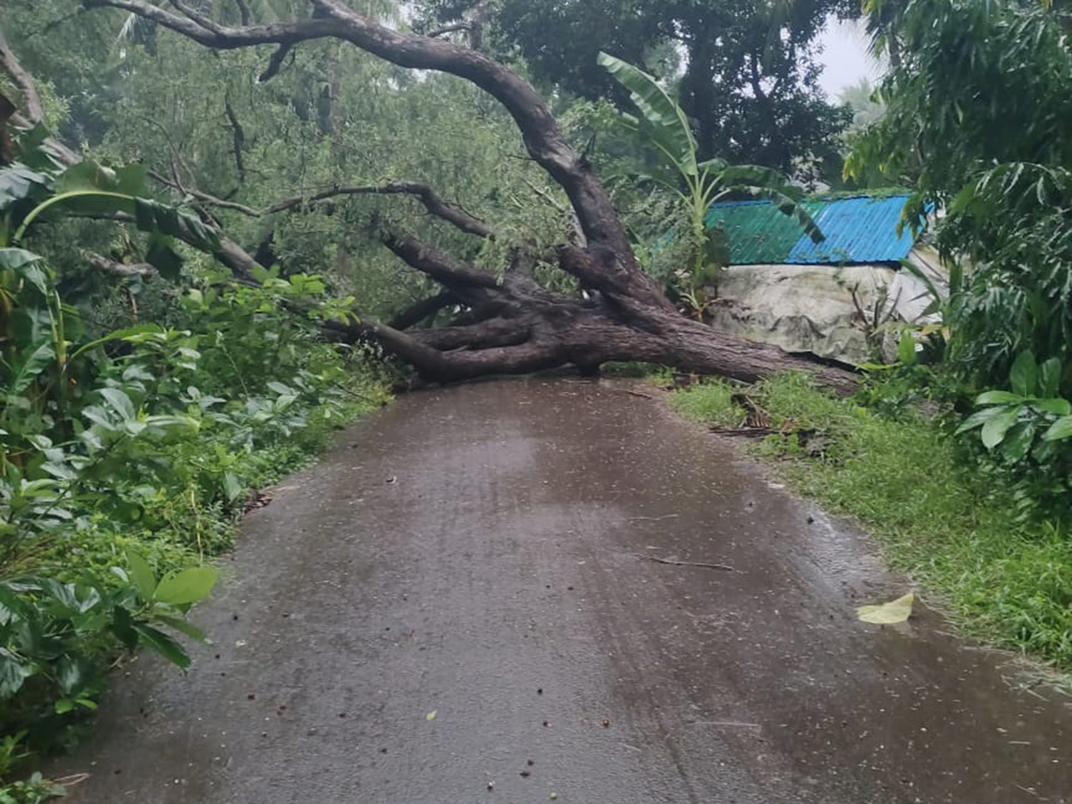 Devastation caused by Cyclone Arnab in AP Today29