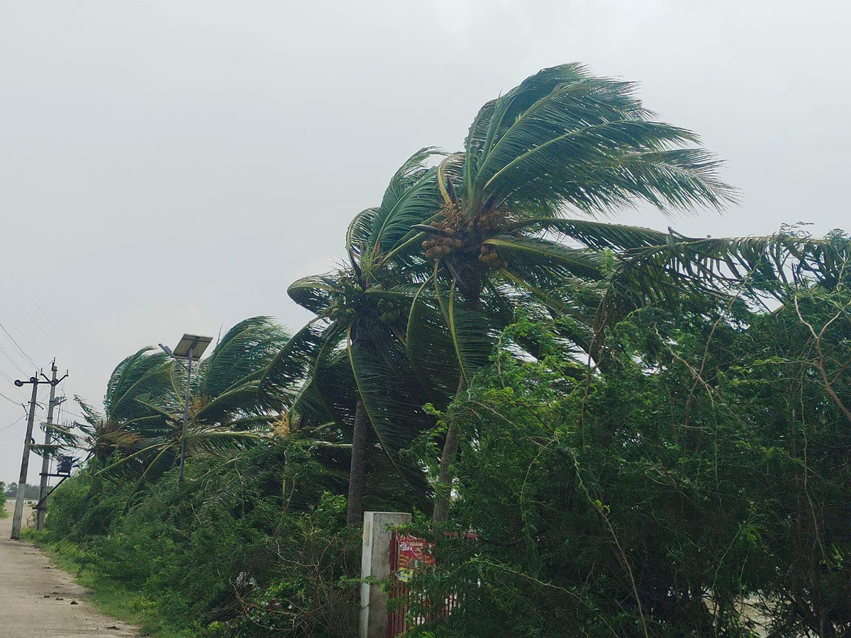 Devastation caused by Cyclone Arnab in AP Today4