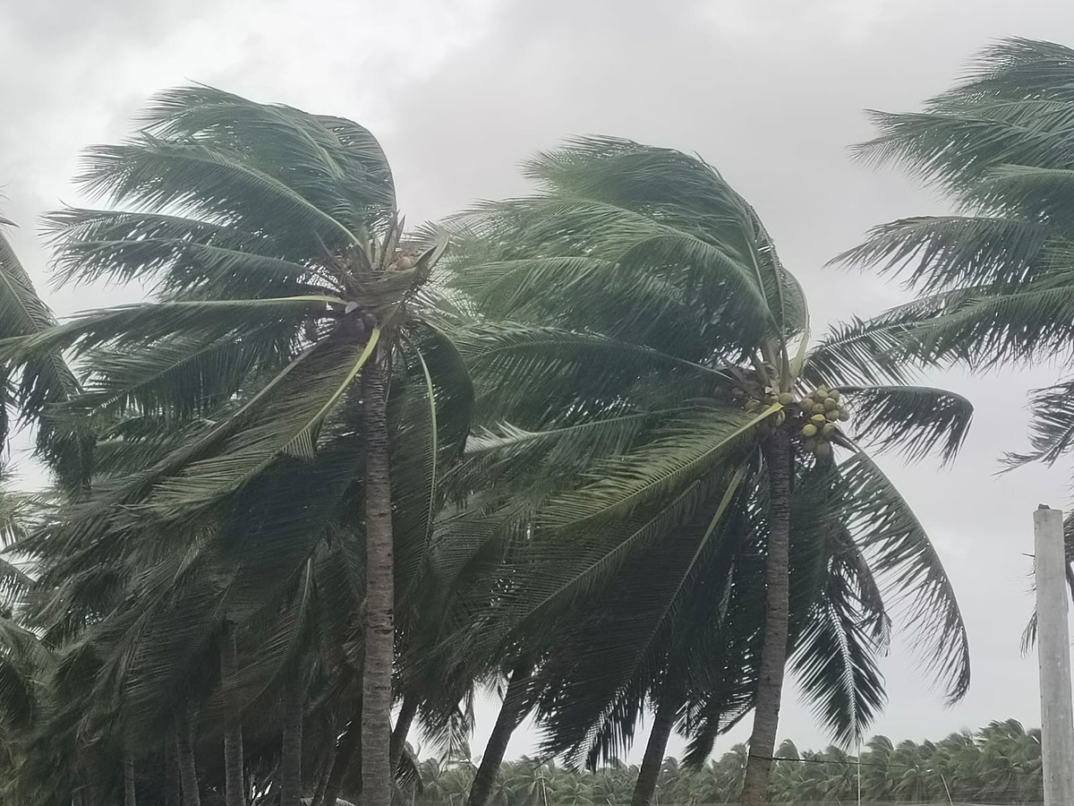 Devastation caused by Cyclone Arnab in AP Today6