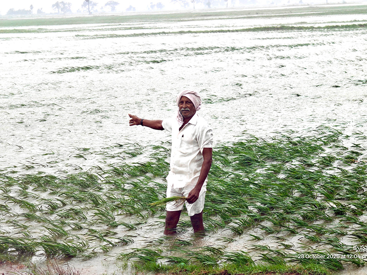 Cyclone Arnab in Andhra Pradesh Today Photos13