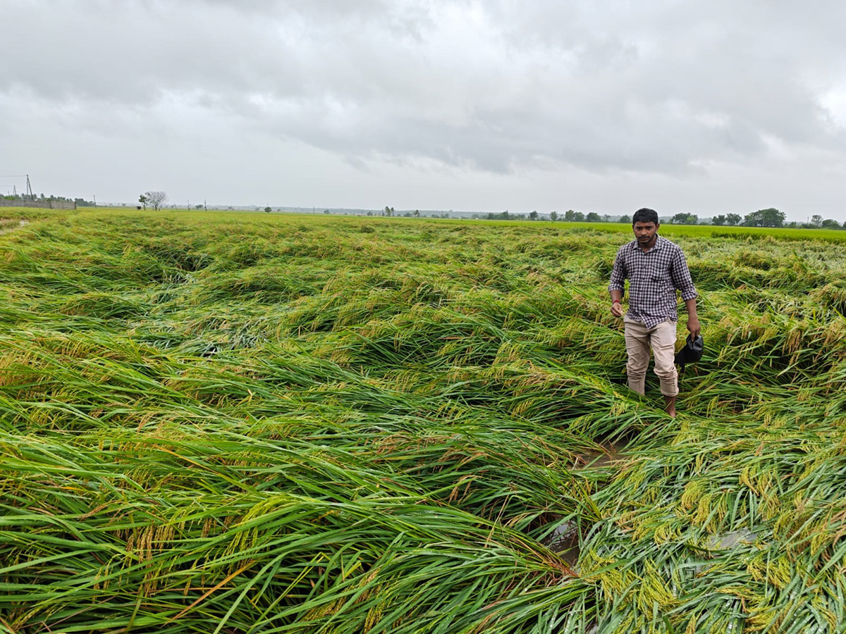 Cyclone Arnab in Andhra Pradesh Today Photos29