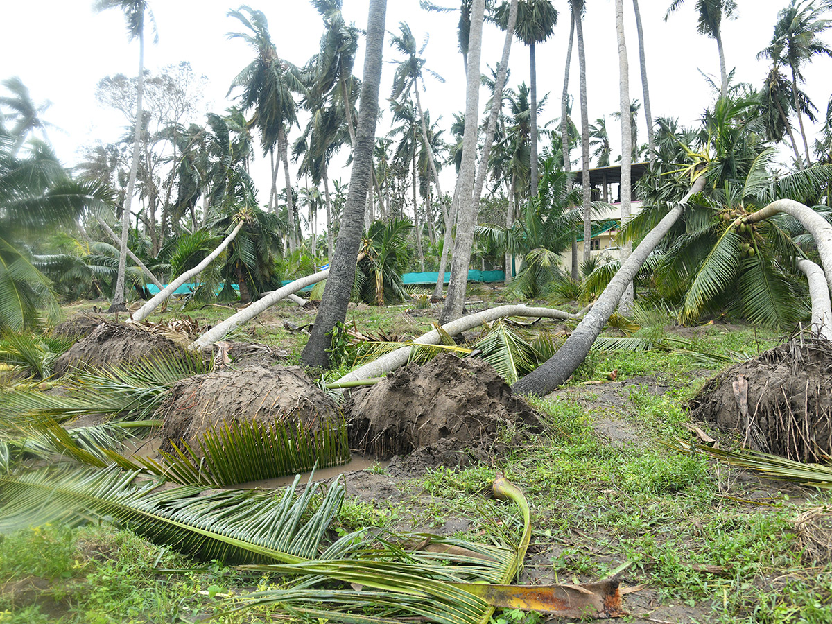 Cyclone Arnab in Andhra Pradesh Today Photos3