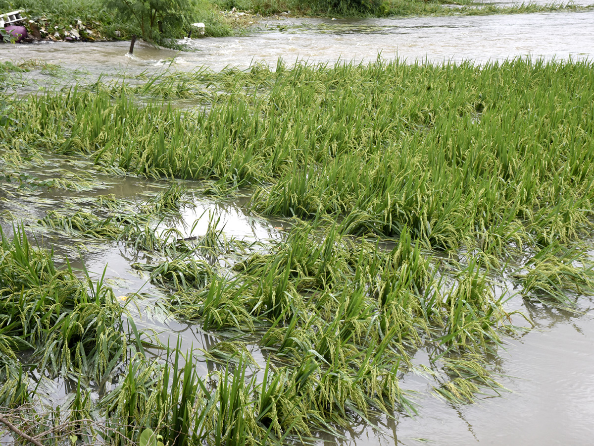 Cyclone Arnab in Andhra Pradesh Today Photos36