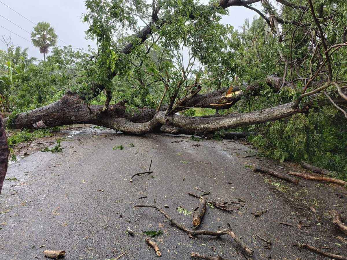 Cyclone Arnab in Andhra Pradesh Today Photos7