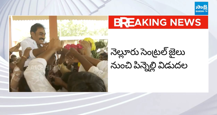 ఎవరిని వదిలిపెట్టం.. విడుదల తర్వాత పిన్నెల్లి ఫస్ట్ రియాక్షన్