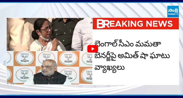 నాలుగు నెలల్లో వచ్చేది మేమే...  Amit Shah 