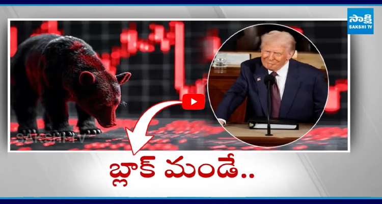 Stock Market: స్టాక్ మార్కెట్లో బ్లడ్ బాత్