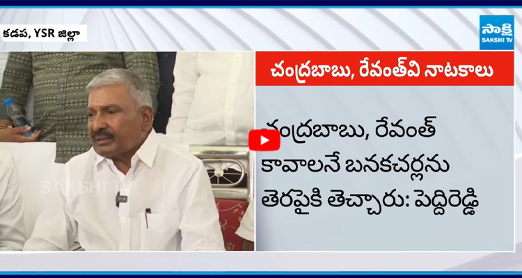 చంద్రబాబుకు బనకచర్ల పూర్తిచేసే ఉద్దేశం లేదు: పెద్దిరెడ్డి రామచంద్రారెడ్డి