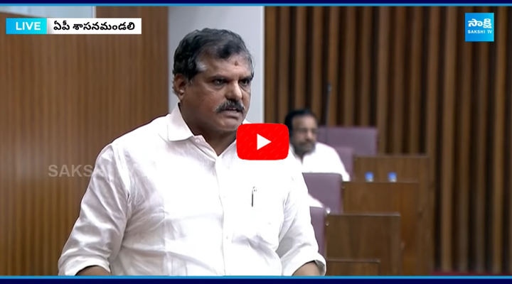 దీపం-2 పథకంపై శాసనమండలిలో వాడీవేడి చర్చ