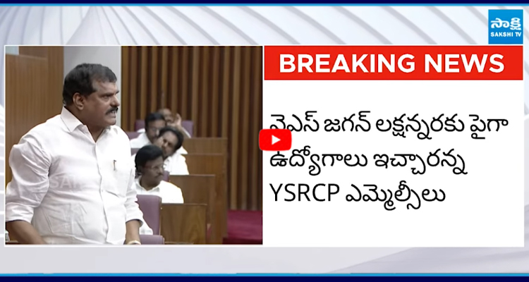 జగన్‌ని అలా అనడం ఆపేవరకు మేమూ తగ్గం 