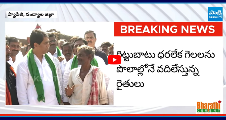 Nandyala: రైతులకు సంఘీభావంగా మాజీ మంత్రి బుగ్గన రాజేంద్రనాథ్ పాదయాత్ర