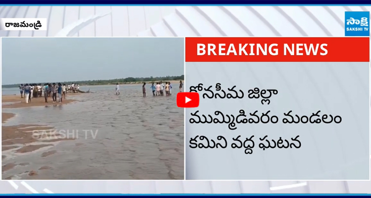 గోదావరిలో స్నానానికెళ్లి 8 మంది గల్లంతు
