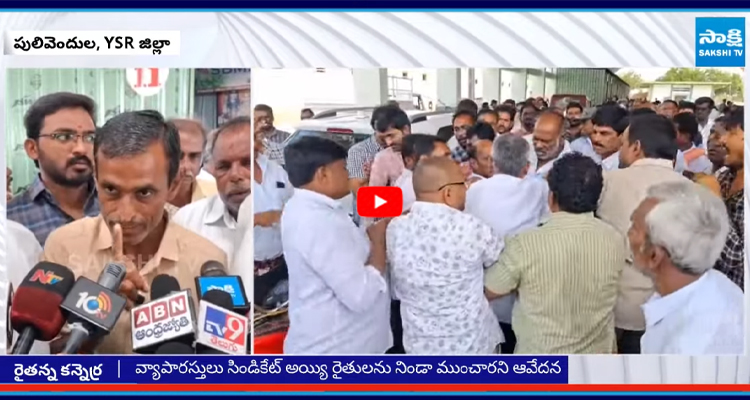 Chilli Farmers: YSR జిల్లా పులివెందుల మార్కెట్ యార్డు వద్ద టెన్షన్