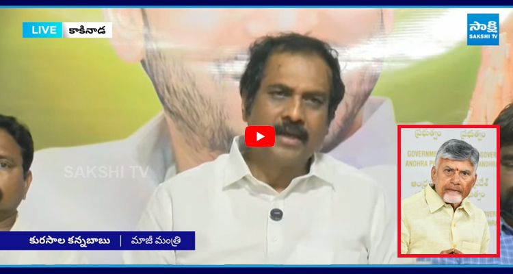 చంద్రబాబు డబల్ యాక్షన్ ఆయనే సీఎం, ఆయనే నిందితుడు