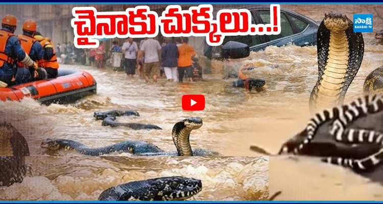 చైనాకు చుక్కలు..! ఒక వైపు వరదలు.. మరోవైపు విషసర్పాలు