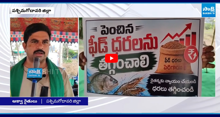సూట్కేసులు.. సూట్కేసులు డబ్బు ఎక్కడికి వెళ్తుంది?