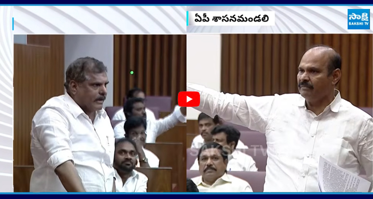 బొత్స ప్రశ్నలకు నీళ్లు నమిలిన మంత్రి