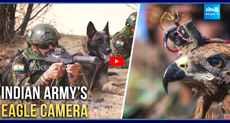 ఇండియన్ ఆర్మీ లోకి వేట పక్షులు