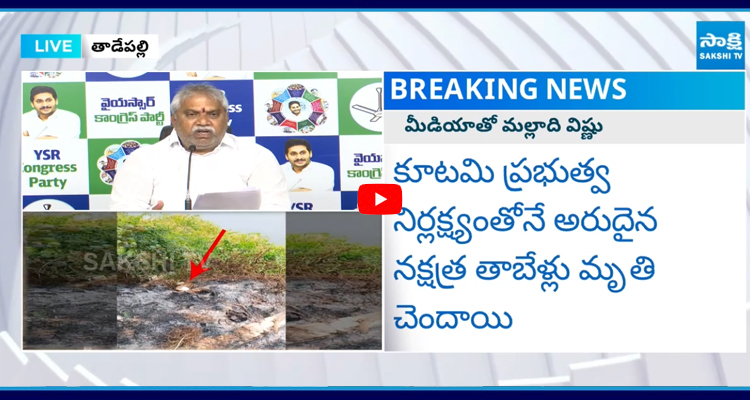 శ్రీకూర్మనాథ ఆలయంలో జరిగిన ఘటన బాధ్యతారాహిత్యం
