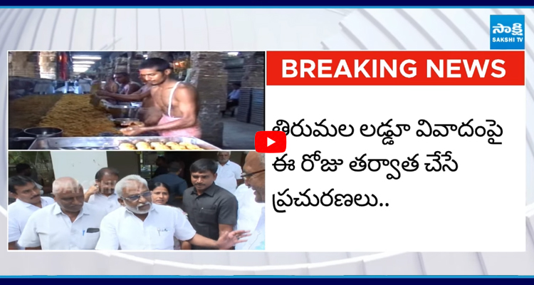 సుబ్బారెడ్డి పరువు నష్టం దావా కేసులో హైకోర్టు స్పష్ఠీకరణ